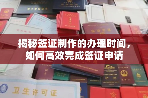 大园揭秘签证制作的办理时间，如何高效完成签证申请