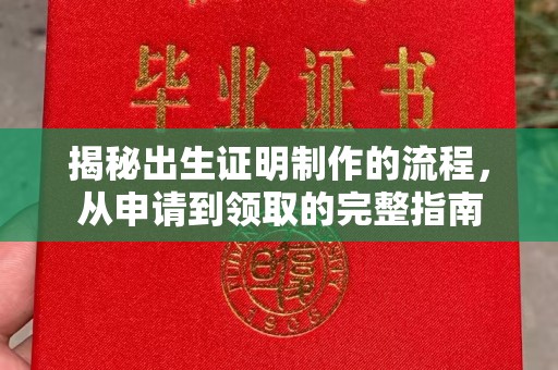 大园揭秘出生证明制作的流程，从申请到领取的完整指南