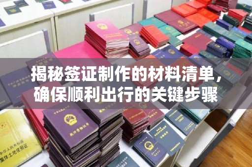 大园揭秘签证制作的材料清单，确保顺利出行的关键步骤