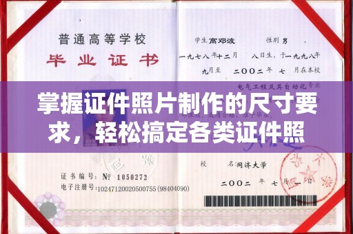 大园掌握证件照片制作的尺寸要求，轻松搞定各类证件照