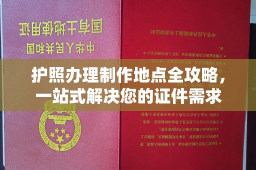 大园护照办理制作地点全攻略，一站式解决您的证件需求