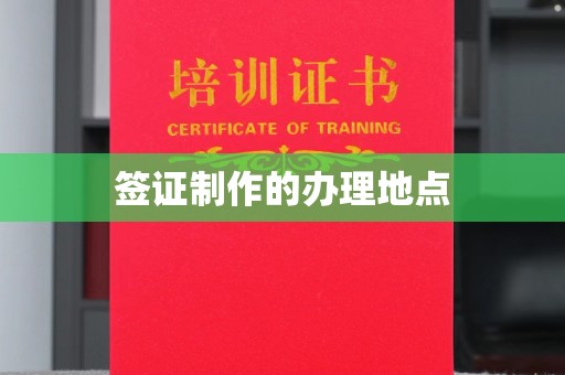 大园签证制作的办理地点