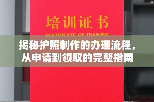 大园揭秘护照制作的办理流程，从申请到领取的完整指南