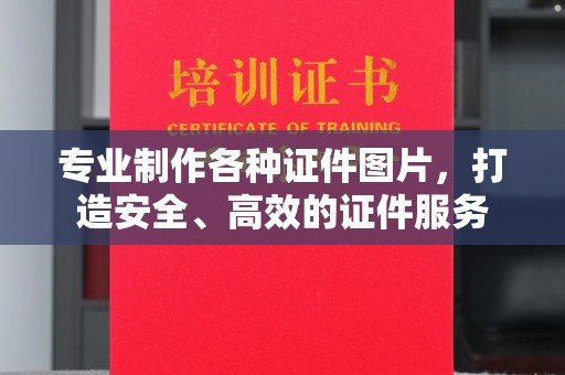 大园专业制作各种证件图片，打造安全、高效的证件服务