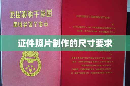大园证件照片制作的尺寸要求