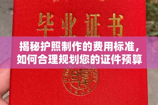 大园揭秘护照制作的费用标准，如何合理规划您的证件预算