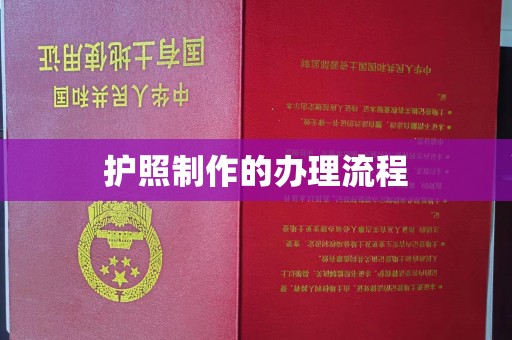 大园护照制作的办理流程