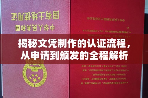 大园揭秘文凭制作的认证流程，从申请到颁发的全程解析
