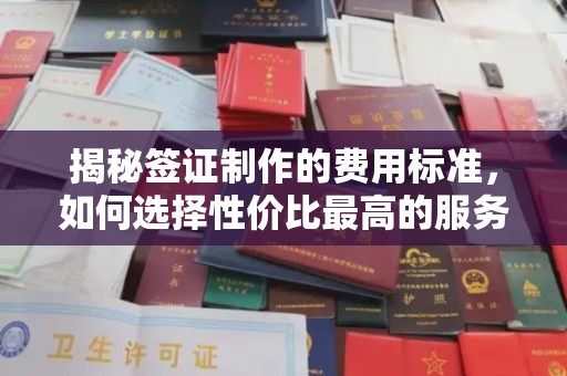 大园揭秘签证制作的费用标准，如何选择性价比最高的服务？