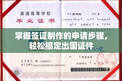 大园掌握签证制作的申请步骤，轻松搞定出国证件