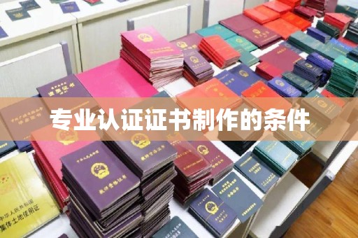 大园专业认证证书制作的条件