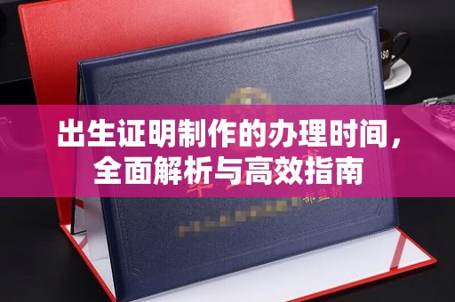 大园出生证明制作的办理时间，全面解析与高效指南