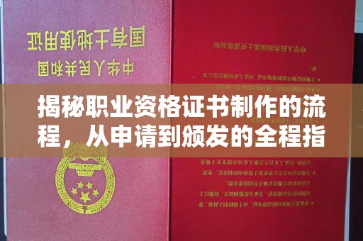大园揭秘职业资格证书制作的流程，从申请到颁发的全程指南