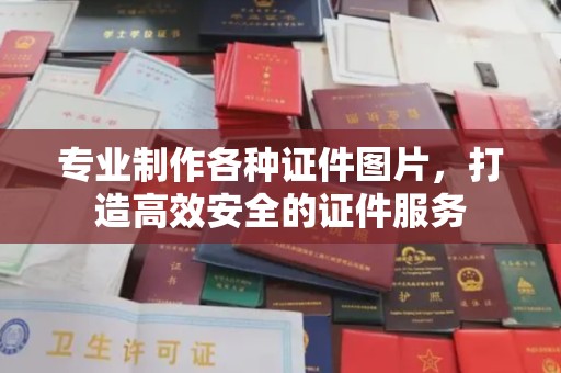 大园专业制作各种证件图片，打造高效安全的证件服务