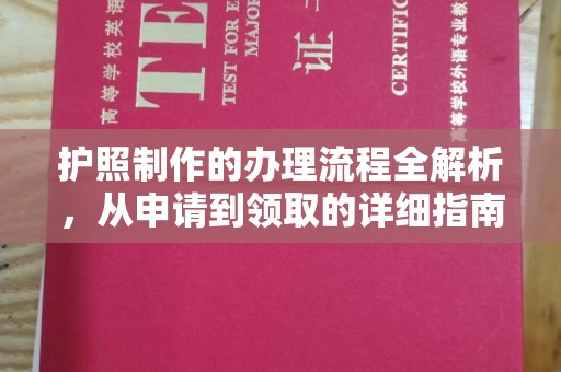 大园护照制作的办理流程全解析，从申请到领取的详细指南