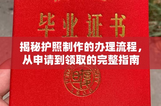 大园揭秘护照制作的办理流程，从申请到领取的完整指南